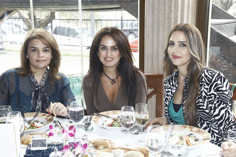 NOREVA new products launching